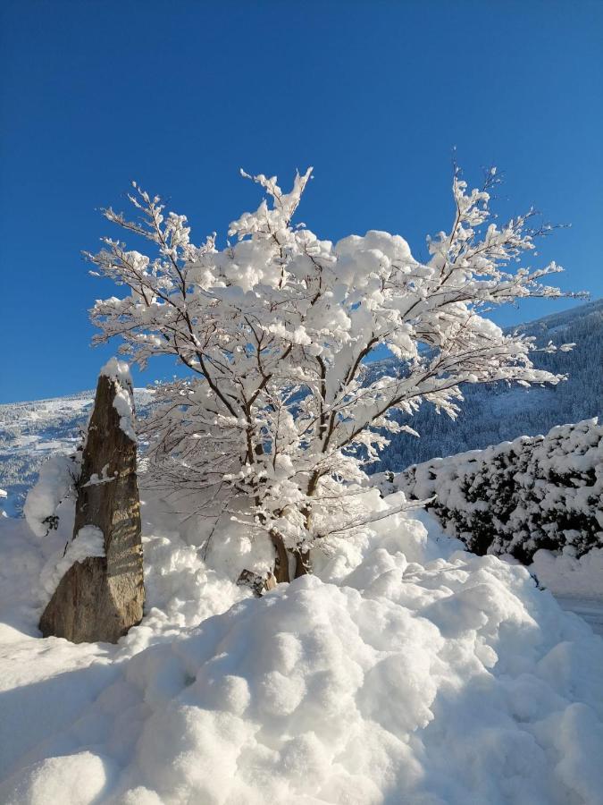 Apart Dahuam Apartment Aschau Im Zillertal Luaran gambar